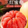 【快递】福建平和琯溪 三红蜜柚 5斤礼盒装 商品缩略图2