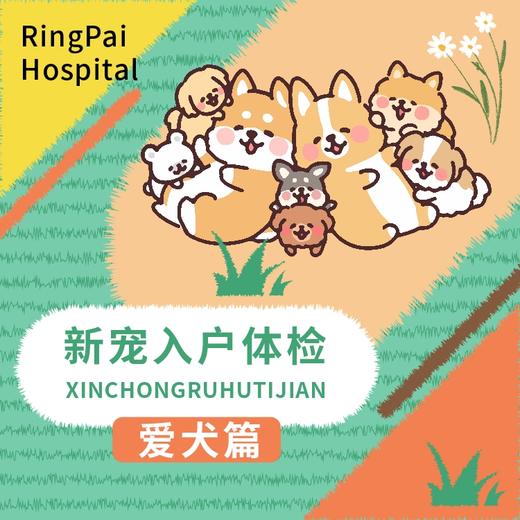 万象丨新宠入户体检爱犬篇 商品图0