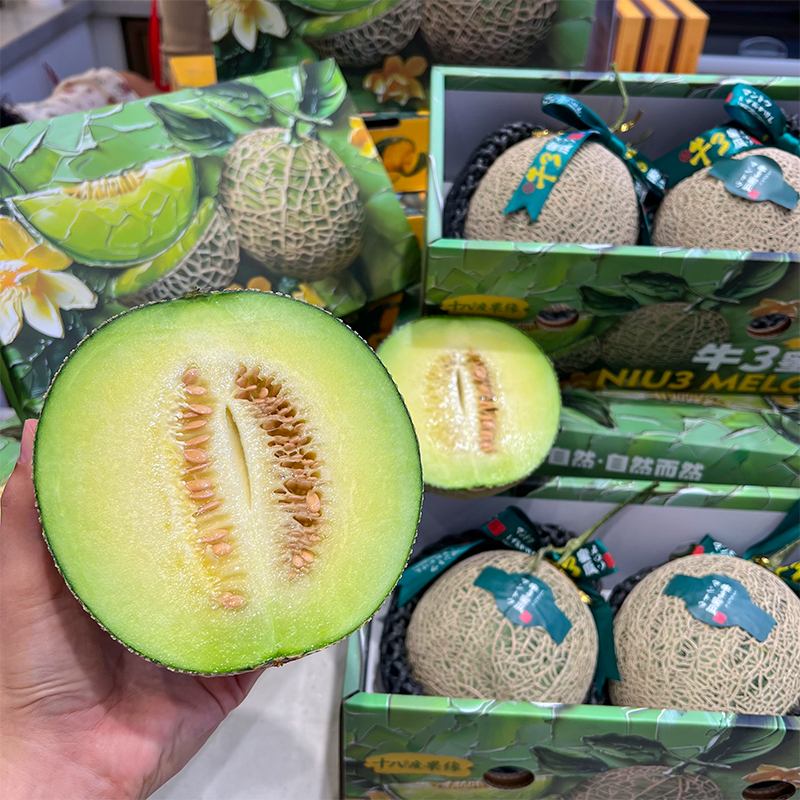 牛3玫珑蜜瓜 软甜多汁 哈密瓜界扛把子