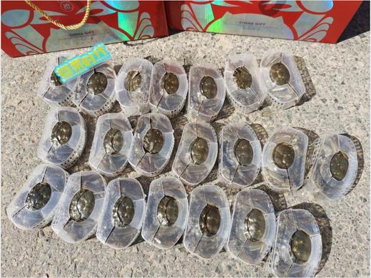 20只全母礼蟹天下礼盒 商品图5