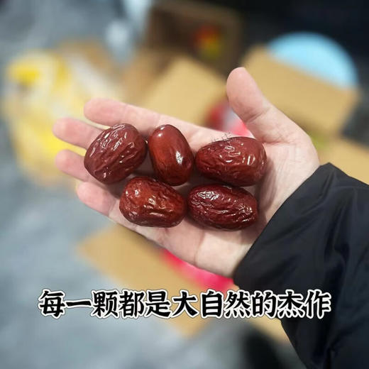新疆一级和田俊枣500g 商品图2