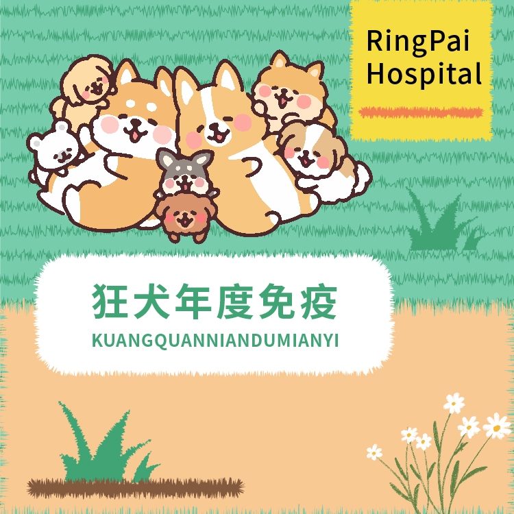 万象丨狂犬年度免疫服务1针