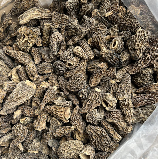 【云南野生羊肚菌】纯野生不掺假 
野生羊肚菌肉厚菌香 新货 包邮 商品图6