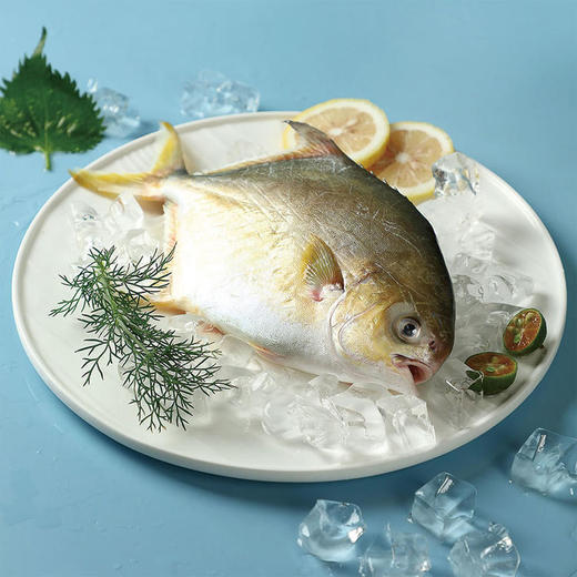 中粮凌鲜金鲳鱼400g 商品图2