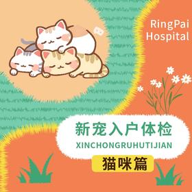 万象丨新宠入户体检猫咪篇