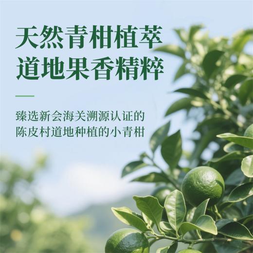 宋雅辰香车载香片香薰车内挂件持久淡香清新3片装 商品图3