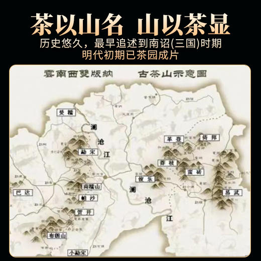 生普 | 德丰昌 2024年 倚邦散茶300g//盒 商品图3