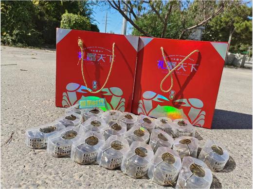 20只全母礼蟹天下礼盒 商品图0