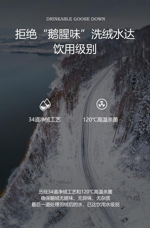 【换季出清】自然醒贝琪白鹅绒被经典款LB 商品图2
