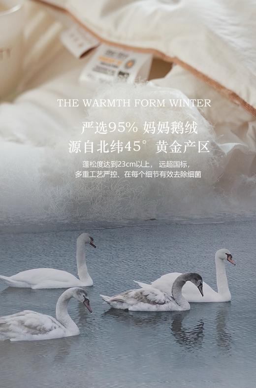 【换季出清】自然醒贝琪白鹅绒被经典款LB 商品图7
