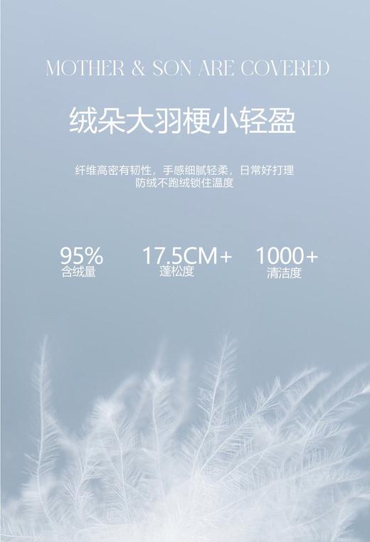 【换季出清】自然醒塞维尔双生鹅绒被旗舰款LB 商品图4
