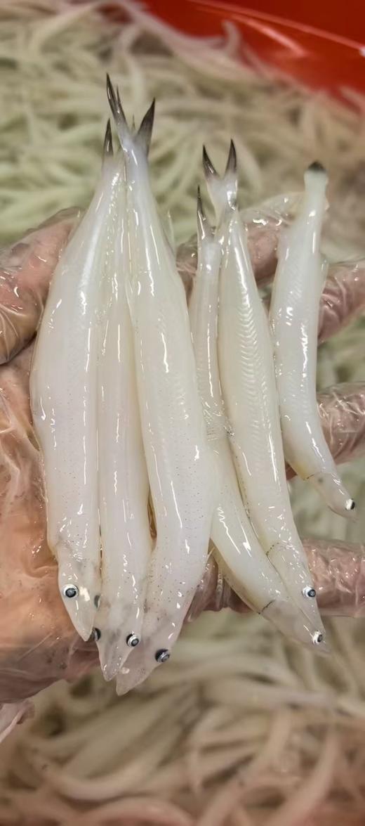 鲜银鱼3斤 商品图0