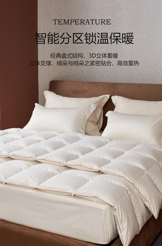 【换季出清】自然醒贝琪白鹅绒被经典款LB 商品图1