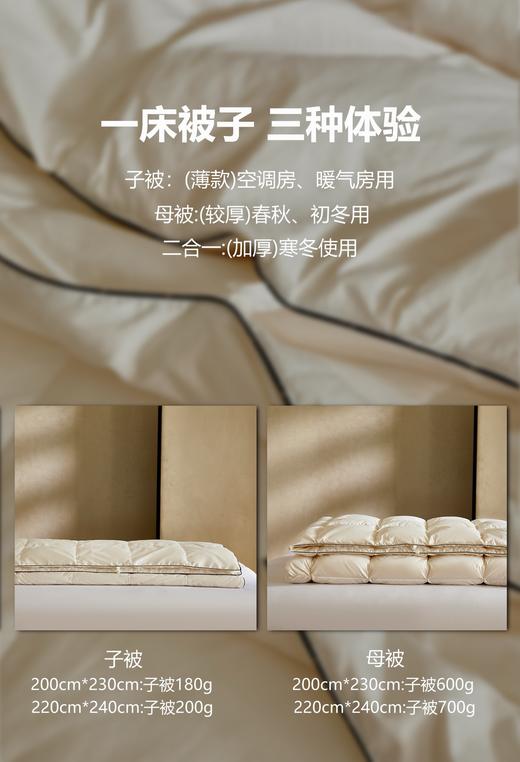 【换季出清】自然醒塞维尔双生鹅绒被旗舰款LB 商品图6