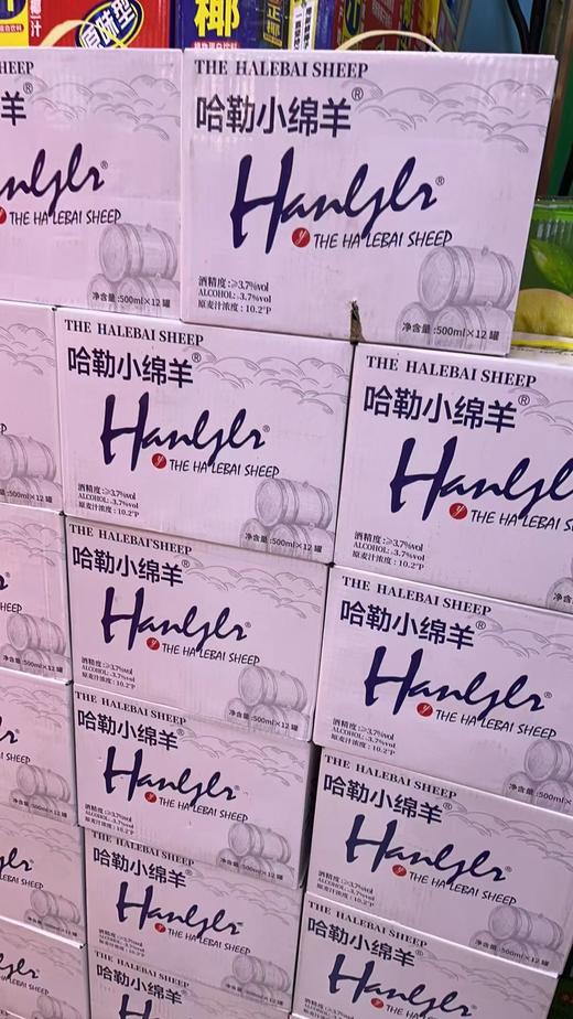 哈勒小绵羊一箱 商品图1