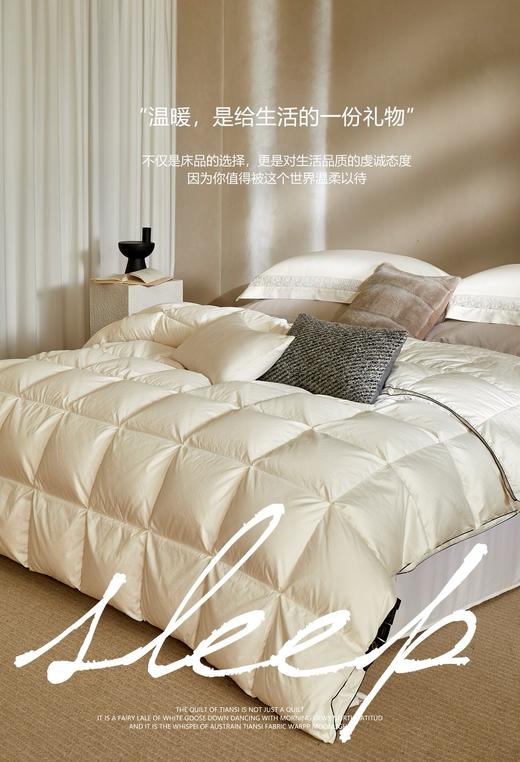 【换季出清】自然醒塞维尔双生鹅绒被旗舰款LB 商品图8