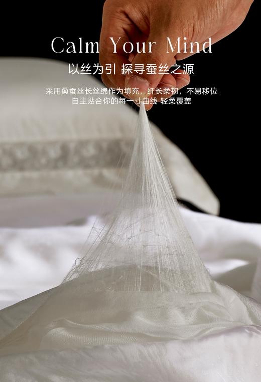 【换季出清】自然醒弗伦娜100%桑蚕丝春秋冬被LB 商品图1