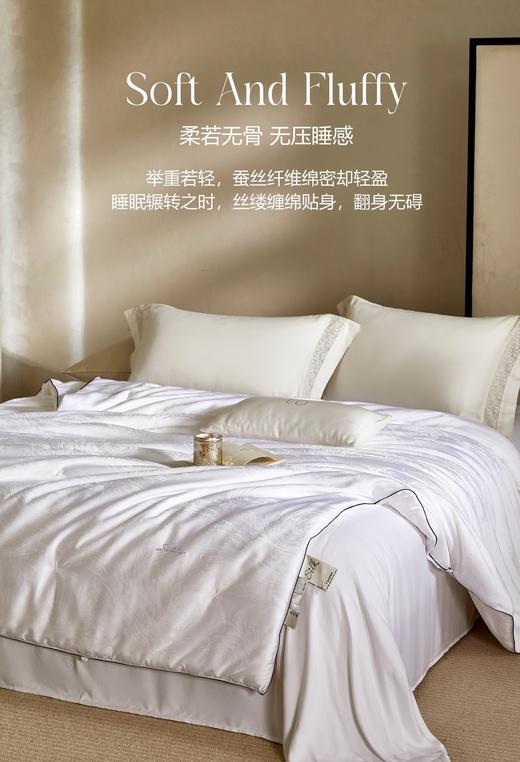 【换季出清】自然醒弗伦娜100%桑蚕丝春秋冬被LB 商品图6