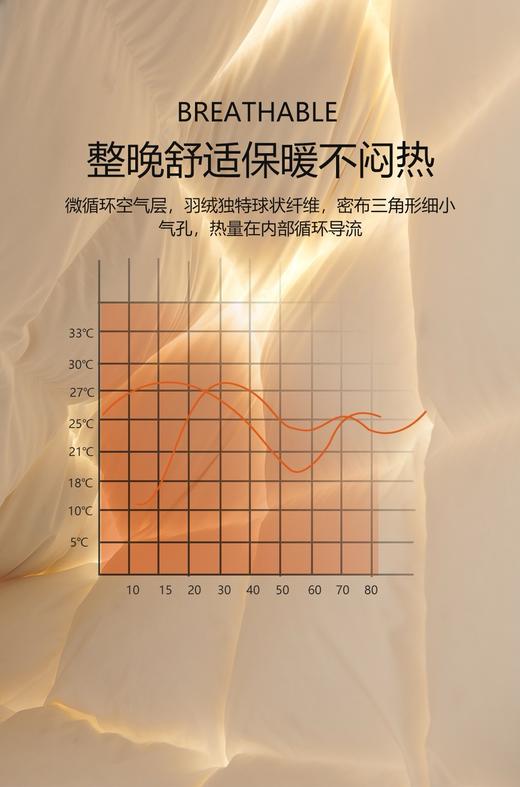【换季出清】自然醒贝琪白鹅绒被经典款LB 商品图5
