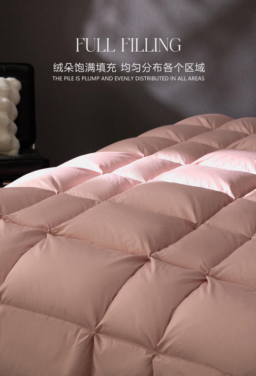 【换季出清】自然醒小暖仓白鹅绒冬被LB 商品图3