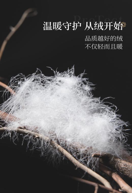 【换季出清】自然醒塞维尔双生鹅绒被旗舰款LB 商品图3