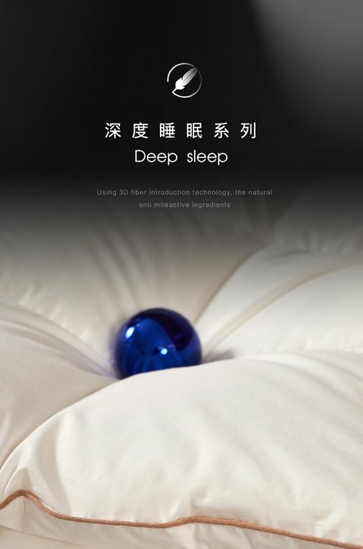 【换季出清】自然醒贝琪白鹅绒被经典款LB 商品图3