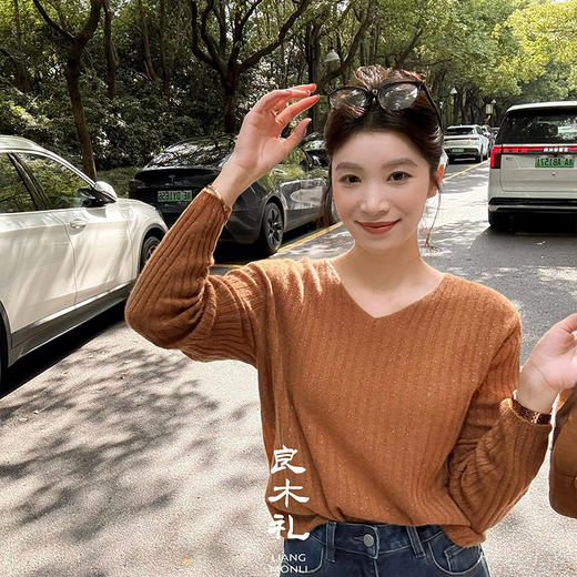 【预售7天】良木礼山羊绒烫钻V领套衫（Q2584514） 商品图2