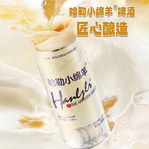 哈勒小绵羊一箱 商品图2