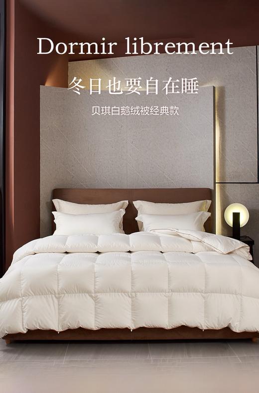 【换季出清】自然醒贝琪白鹅绒被经典款LB 商品图0