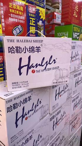哈勒小绵羊一箱