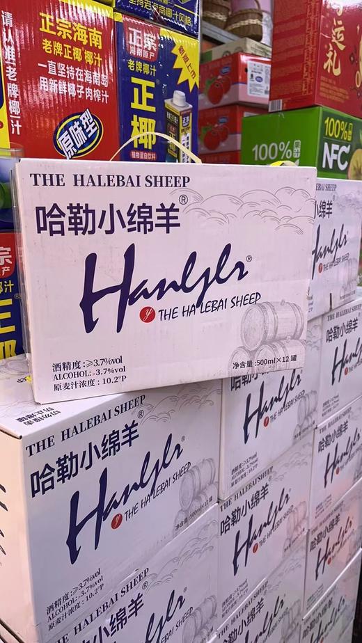 哈勒小绵羊一箱 商品图0