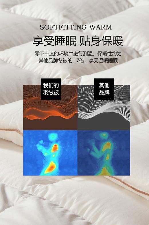 【换季出清】自然醒贝琪白鹅绒被经典款LB 商品图4
