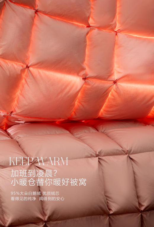 【换季出清】自然醒小暖仓白鹅绒冬被LB 商品图2