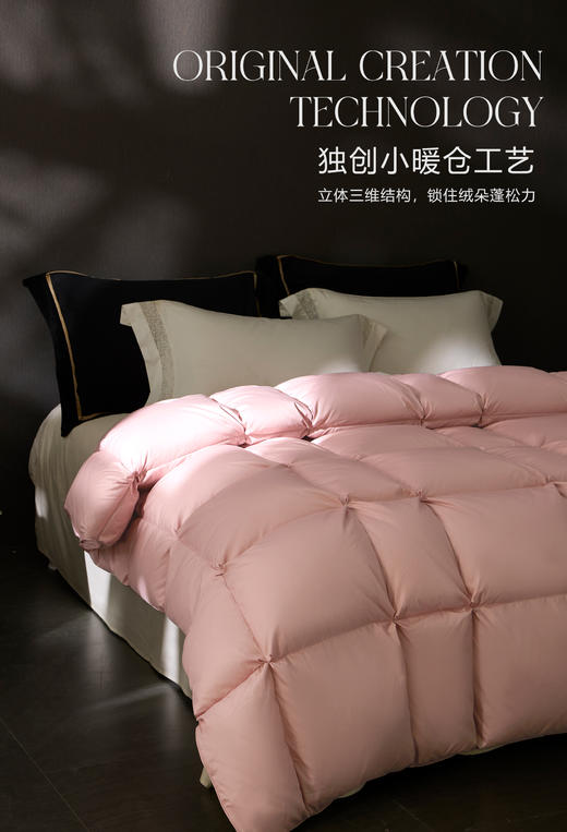 【换季出清】自然醒小暖仓白鹅绒冬被LB 商品图1
