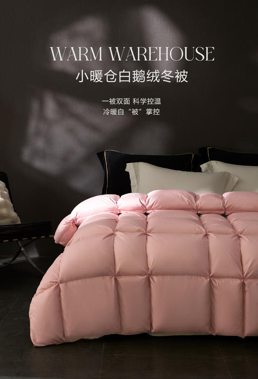 【换季出清】自然醒小暖仓白鹅绒冬被LB 商品图0