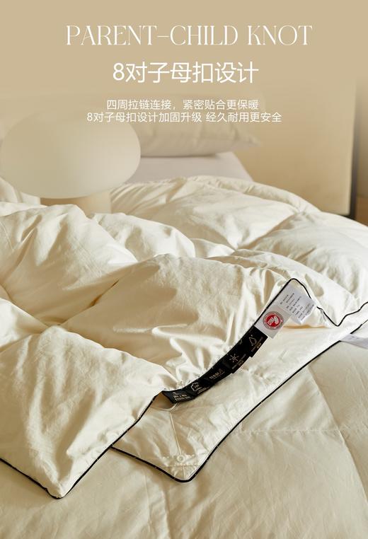 【换季出清】自然醒塞维尔双生鹅绒被旗舰款LB 商品图7