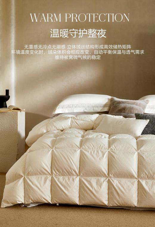 【换季出清】自然醒塞维尔双生鹅绒被旗舰款LB 商品图1