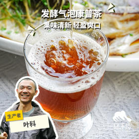 生态耙耙柑康普茶 | 合作生产 * Ecological Harumi tangerine kombucha | Partner Production