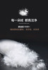 【换季出清】自然醒小暖仓白鹅绒冬被LB 商品缩略图9