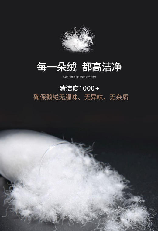 【换季出清】自然醒小暖仓白鹅绒冬被LB 商品图9