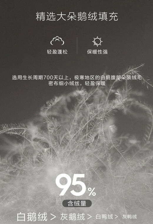 【换季出清】自然醒小暖仓白鹅绒冬被LB 商品图7