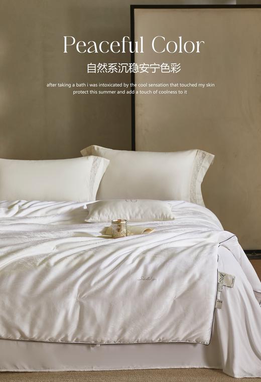 【换季出清】自然醒弗伦娜100%桑蚕丝春秋冬被LB 商品图4
