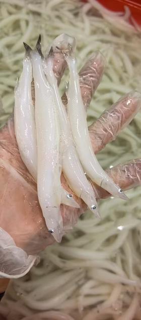 冻银鱼一斤