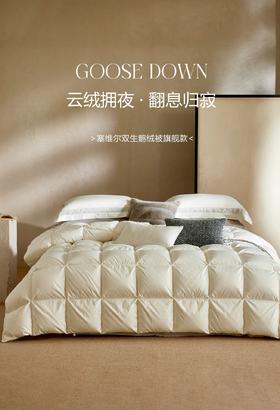 【换季出清】自然醒塞维尔双生鹅绒被旗舰款LB