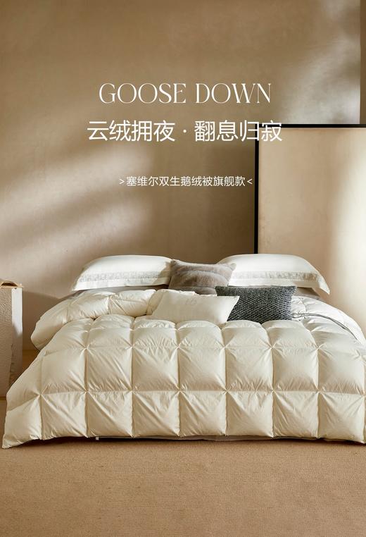【换季出清】自然醒塞维尔双生鹅绒被旗舰款LB 商品图0