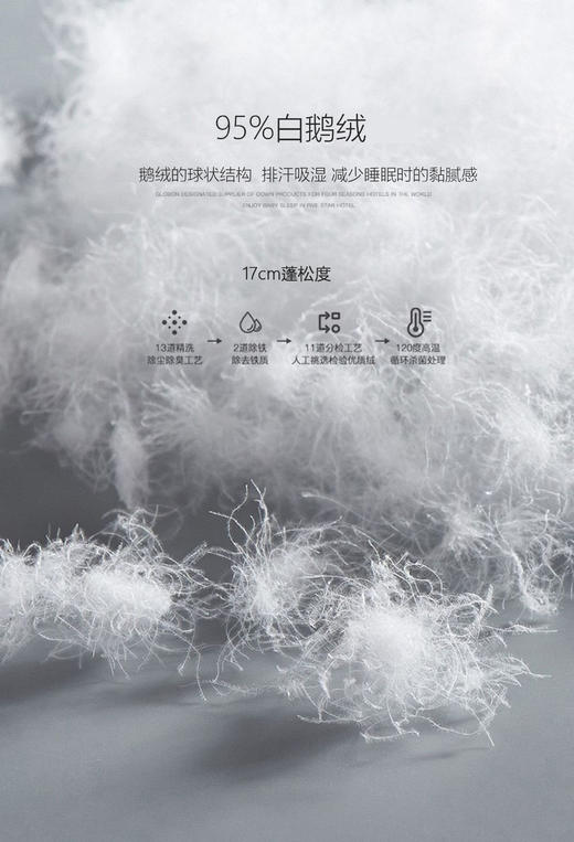 【换季出清】自然醒小暖仓白鹅绒冬被LB 商品图11