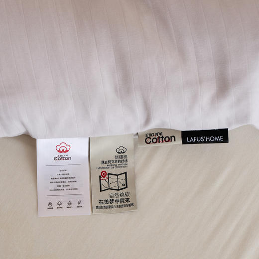 【换季出清】自然醒超柔双层纱新疆棉花被被子被芯LFS 商品图13