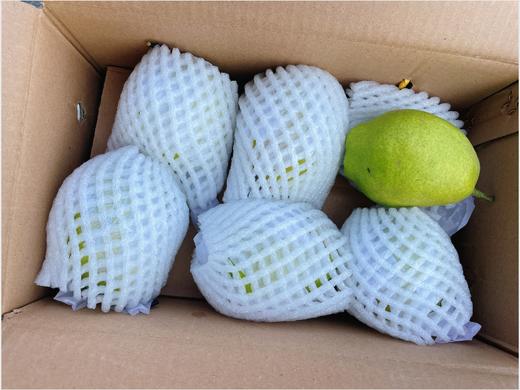小箱库尔勒香梨一箱 商品图3
