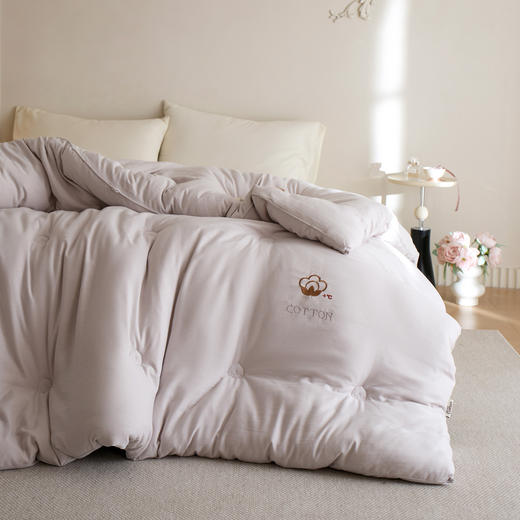 【换季出清】自然醒超柔双层纱新疆棉花被被子被芯LFS 商品图3