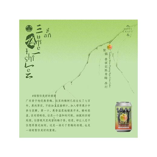 立吞（三梅一会） 紫苏普宁完熟青梅西打 商品图0